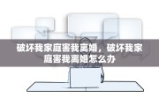 破坏我家庭害我离婚，破坏我家庭害我离婚怎么办