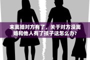 末离婚对方有了，关于对方没离婚和他人有了孩子这怎么办?