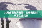 父母去世财产离婚，父母离世财产怎么分儿女