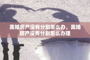离婚房产没有分割怎么办，离婚房产没有分割怎么办理