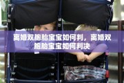 离婚双胞胎宝宝如何判，离婚双胞胎宝宝如何判决