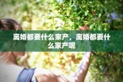 离婚都要什么家产，离婚都要什么家产呢
