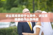 诉讼离婚要些什么条件，诉讼离婚要些什么条件呢