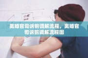 离婚官司诉前调解流程，离婚官司诉前调解流程图