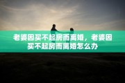 老婆因买不起房而离婚，老婆因买不起房而离婚怎么办