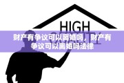财产有争议可以离婚吗，财产有争议可以离婚吗法律