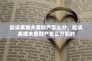 起诉离婚夫妻财产怎么分，起诉离婚夫妻财产怎么分割的