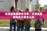 还没谈离婚就在分家，还没谈离婚就在分家怎么办