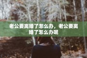 老公要离婚了怎么办，老公要离婚了怎么办呢