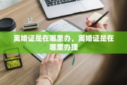 离婚证是在哪里办，离婚证是在哪里办理