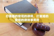 打离婚的官司的律师，打离婚的官司的律师事务所