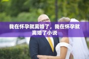 我在怀孕就离婚了，我在怀孕就离婚了小说
