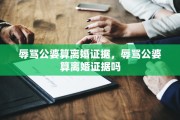 辱骂公婆算离婚证据，辱骂公婆算离婚证据吗