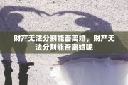 财产无法分割能否离婚，财产无法分割能否离婚呢