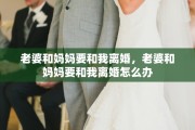 老婆和妈妈要和我离婚，老婆和妈妈要和我离婚怎么办