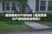 冲动离婚又冲动复婚，冲动离婚又冲动复婚怎么办