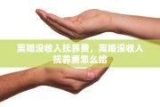 离婚没收入抚养费，离婚没收入抚养费怎么给