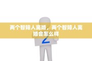 两个智障人离婚，两个智障人离婚会怎么样