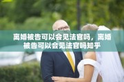 离婚被告可以会见法官吗，离婚被告可以会见法官吗知乎