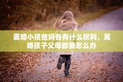 离婚小孩爸妈各有什么权利，离婚孩子父母都要怎么办