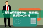 离婚法院调解带什么，离婚法院调解带什么材料