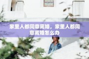 家里人都同意离婚，家里人都同意离婚怎么办