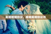 离婚婚姻协议，婚姻离婚协议书