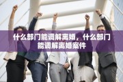 什么部门能调解离婚，什么部门能调解离婚案件