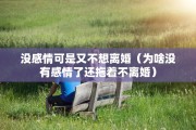 没感情可是又不想离婚（为啥没有感情了还拖着不离婚）