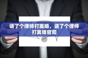 请了个律师打离婚，请了个律师打离婚官司