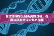 在微法院怎么起诉离婚过程，在微法院离婚诉讼怎么操作
