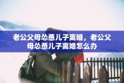老公父母怂恿儿子离婚，老公父母怂恿儿子离婚怎么办