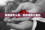 离婚是怎么离，离婚是怎么离的