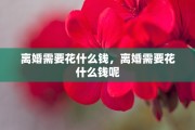 离婚需要花什么钱，离婚需要花什么钱呢