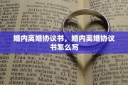 婚内离婚协议书，婚内离婚协议书怎么写