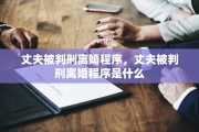 丈夫被判刑离婚程序，丈夫被判刑离婚程序是什么