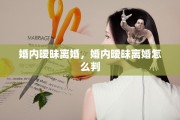 婚内暧昧离婚，婚内暧昧离婚怎么判