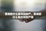 离婚前什么算共同财产，离婚前什么算共同财产呢