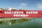洛龙区办离婚手续，洛龙区离婚手续在哪里办?
