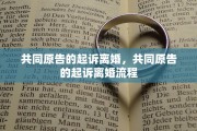 共同原告的起诉离婚，共同原告的起诉离婚流程