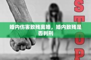 婚内伤害致残离婚，婚内致残是否判刑