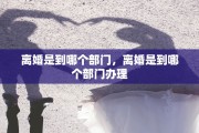 离婚是到哪个部门，离婚是到哪个部门办理