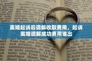 离婚起诉后调解收取费用，起诉离婚调解成功费用谁出