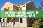 协议离婚的房子可以拍卖吗，协议离婚的房子可以拍卖吗
