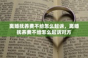 离婚抚养费不给怎么起诉，离婚抚养费不给怎么起诉对方