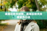 离婚后前夫找我，离婚后前夫找我复合小说