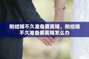 刚结婚不久准备要离婚，刚结婚不久准备要离婚怎么办