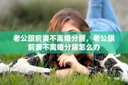 老公跟前妻不离婚分居，老公跟前妻不离婚分居怎么办