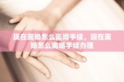 现在离婚怎么离婚手续，现在离婚怎么离婚手续办理