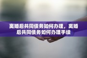 离婚后共同债务如何办理，离婚后共同债务如何办理手续